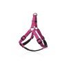 Pet Interest -  Motivo Rosa Harness – Σαμαράκι Type A με Neoprene Επένδυση