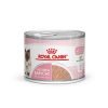 Royal Canin - Starter Mother & Baby Cat 195g
